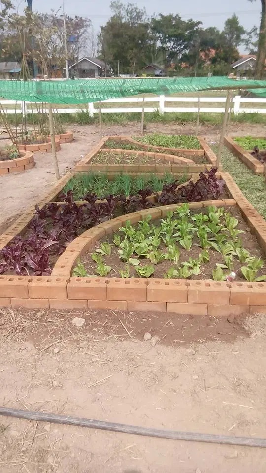 35 Brilliant Cheap Raised Garden Bed Ideas With “Interlocking Bricks” Super Simple!