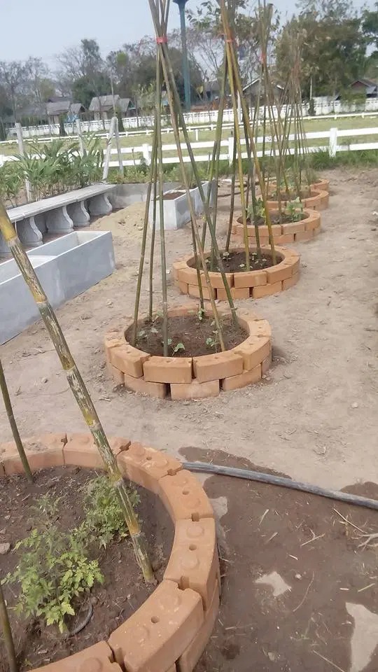 35 Brilliant Cheap Raised Garden Bed Ideas With “Interlocking Bricks” Super Simple!