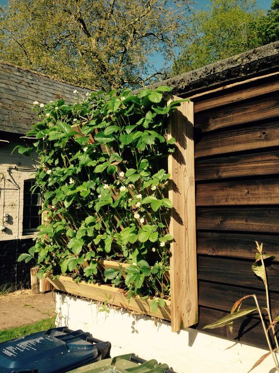 37 Beautiful Vertical Garden Ideas To Adorn Your Patio