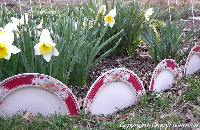 10 Innovative Bed Edging Ideas For Outdoor Areas