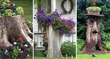 Amazing 26+ tree stump design ideas for your garden