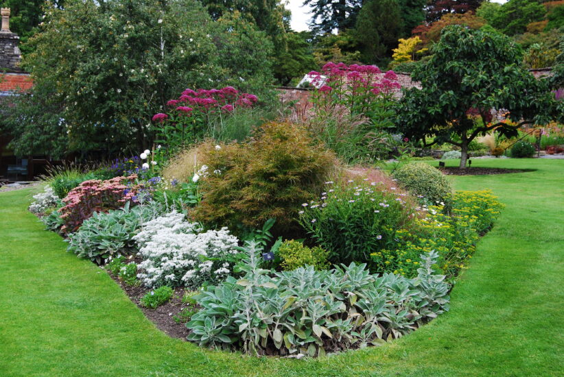 Wie können wir in diesem Frühling atemberaubende Garteninseln für unseren Garten gestalten?