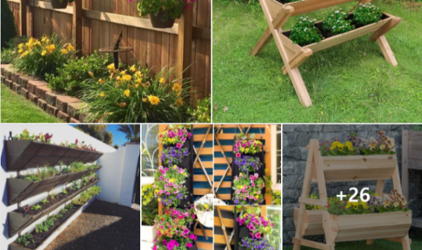 Vertical garden ideas to showcase our favorite houseplants