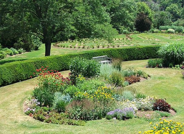 Wie können wir in diesem Frühling atemberaubende Garteninseln für unseren Garten gestalten?