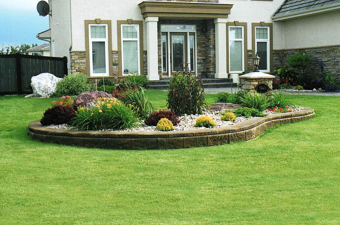 Wie können wir in diesem Frühling atemberaubende Garteninseln für unseren Garten gestalten?