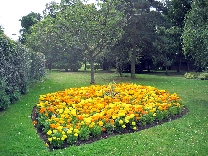 Wie können wir in diesem Frühling atemberaubende Garteninseln für unseren Garten gestalten?