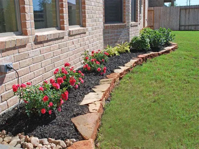 21 Best Black Mulch Landscaping Ideas To Create The Perfect Garden