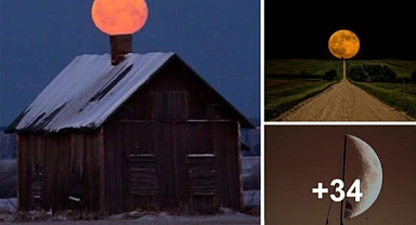 The Ineffable Unity: Immortalizing Nature’s Unutterable Instants