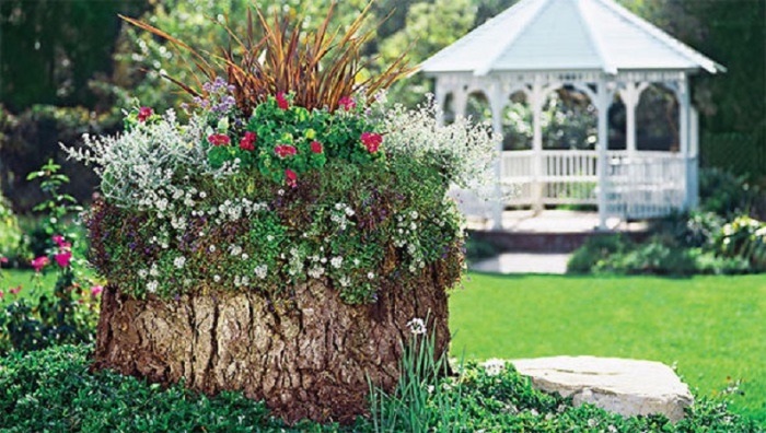 Old logs were transformed into beautiful flower beds.