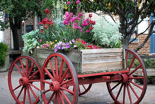 Heart-warming garden decoration ideas with wheelbarrows and wheels
