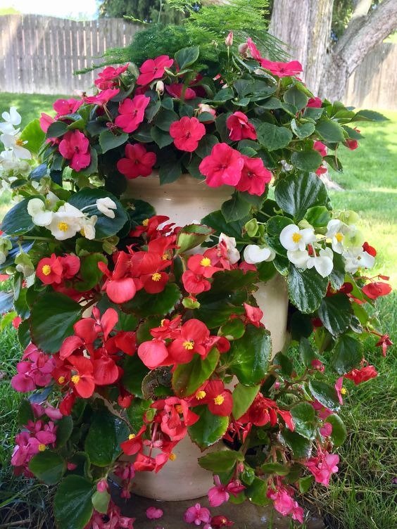 33 Tiered Planter Ideas to Create a Stunning Vertical Garden