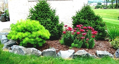 Garden decoration with stones – 15 great ideas to improve your outdoor space