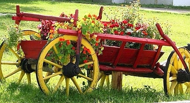 Heart-warming garden decoration ideas with wheelbarrows and wheels