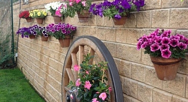 26+ Amazing Inspirations to Beautify Your Bare Walls and Fences!