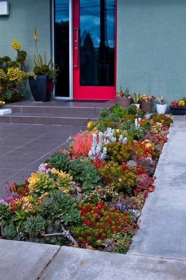 18 Budget-Friendly DIY Backyard Landscaping Ideas That Will Inspire You