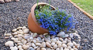 +15 Creative And Easy Garden Decor Ideas