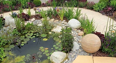 15 Gorgeous Rock Garden Ideas for Your Landscape