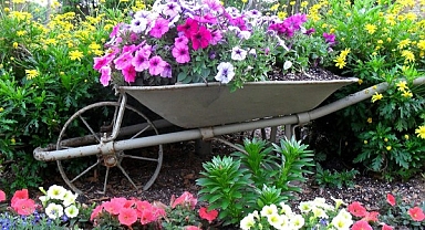 20+ Awesome Floral Decorations for a Unique Backyard Look