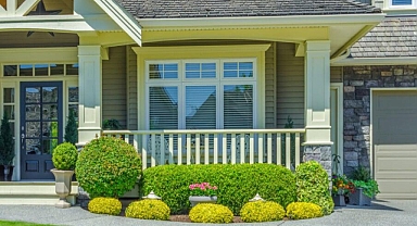 20 Boxwood Landscaping Ideas (shrubs and trees)