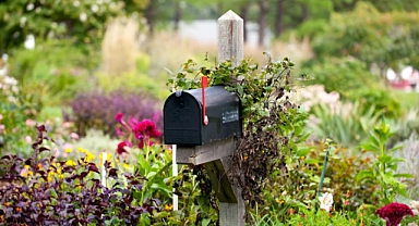 23 Inspiring Mailbox Landscaping Ideas for a Perfect Entry