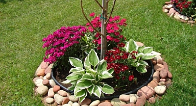 30 Wonderful Ideas and Inspirations for Creating “Garden Islands”