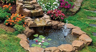 The Most Beautiful Water Garden Ideas