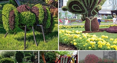 16 Masterpiece Garden Decorations Ideas That Will Blow Your Mind