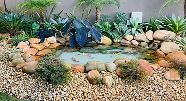 20+ Awesome Ideas Create a Cool and Relaxıng Water Garden