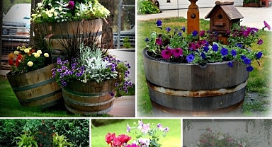 25 Clever DIY ideas to reuse old wine barrels in garden and yard decoration
