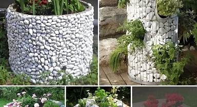 How to beautify a flowerpot or flowerbed in your garden with ordinary stones – 20 inspirational ideas