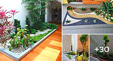 30 interior garden designs that take up little space and budget