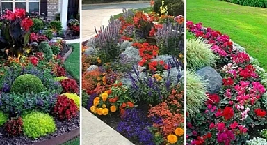 Know How to Set Up a flower garden in Your Backyard