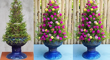 How To Make A Beautiful Christmas Tree Garden With Flowers