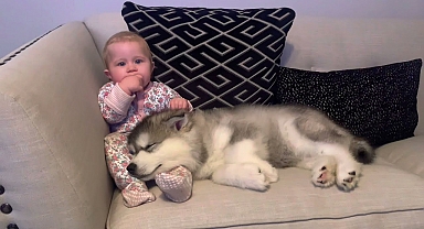 The Best Year Of Our Lives! Baby And Puppy Growing Up Together! (Cutest Ever!!)